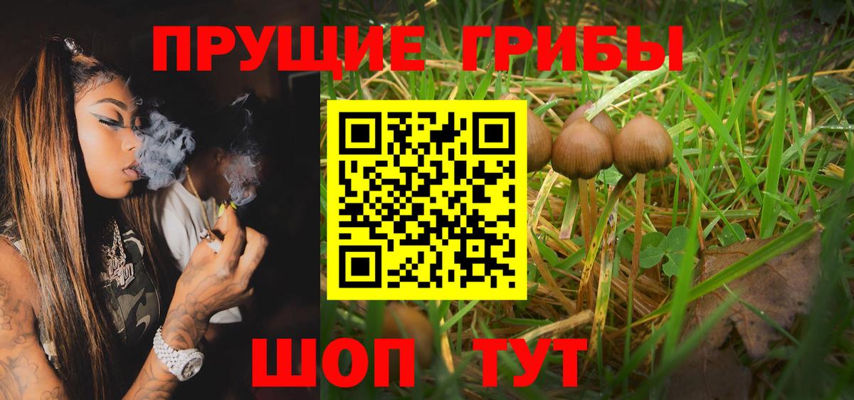 Псилоцибиновые грибы Magic Shrooms Калуга
